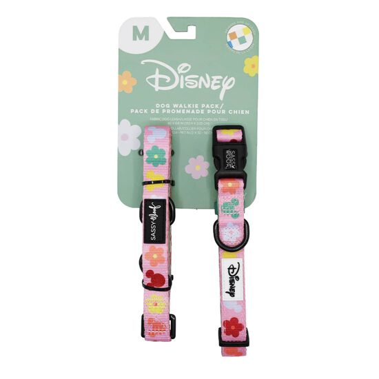 Ensemble de promenade Disney's Rainbow Frenzy pour chiens Image NaN