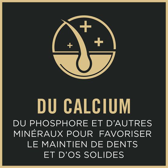 Specialized Shredded Blend Chicken and Rice Formula Dry Food for Small Breed Adult 7+ Dogs, 2.72 kg Image NaN