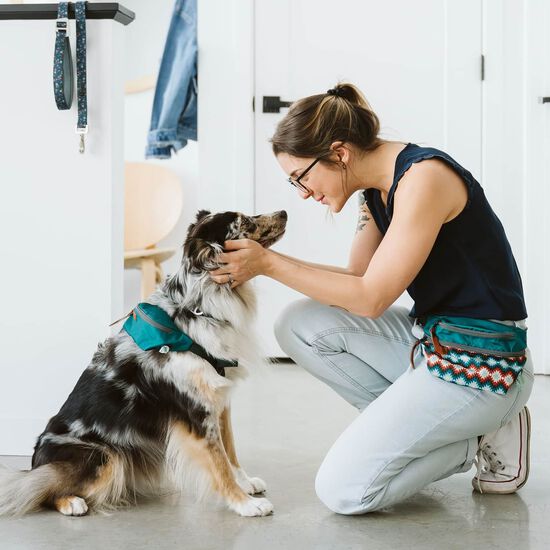 Pet Belt Pouch Image NaN