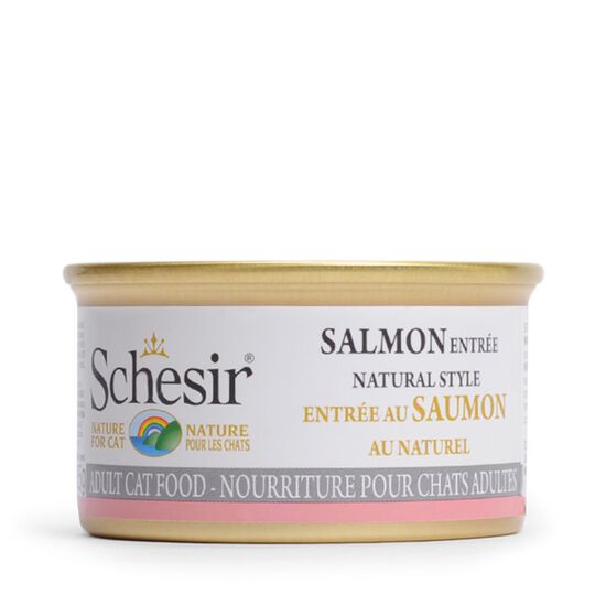 Salmon wet food for cats Image NaN