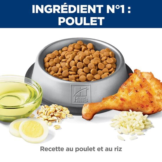 Adult Sensitive Stomach & Skin Chicken & Rice Dry Cat Food, 1.59 kg Image NaN