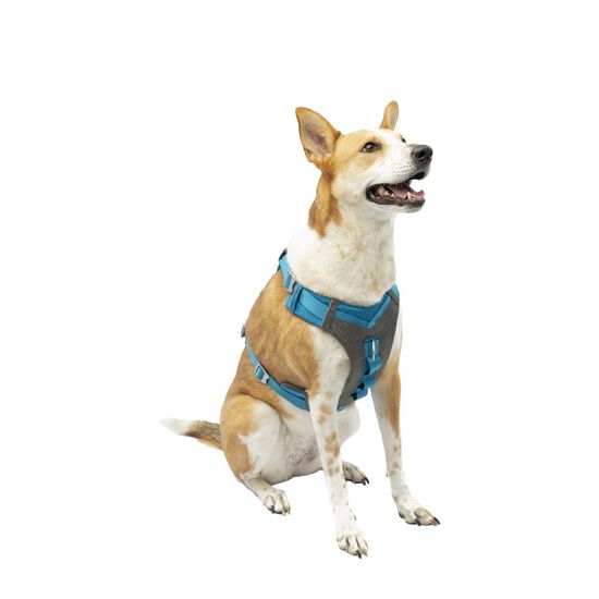 Journey Air Dog Harness Blue, XL Image NaN