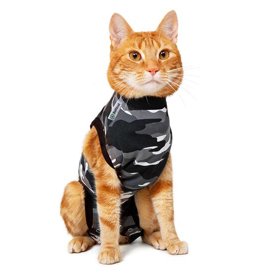 Recovery Suit for Cats Image NaN