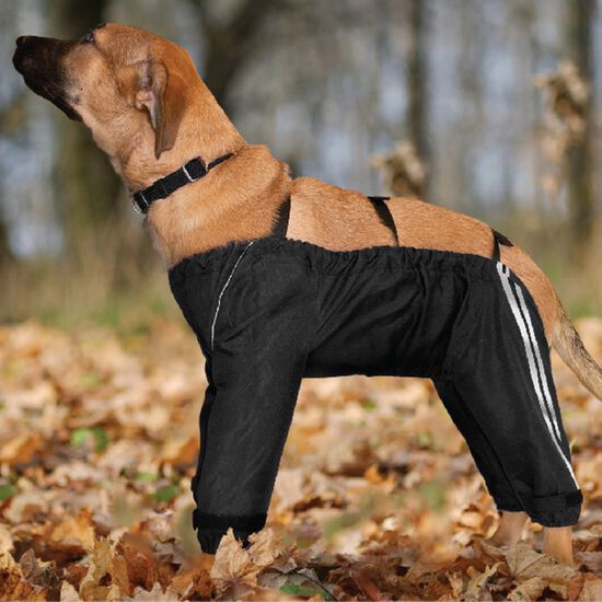 Pantalon de protection toutes saisons pour chiens Image NaN