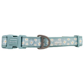 Neoprene Collar for Dogs, Summer Daisies