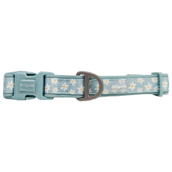 Neoprene Collar for Dogs, Summer Daisies Image NaN