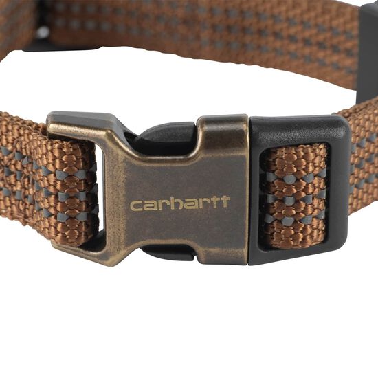Collier pour chiens Image NaN