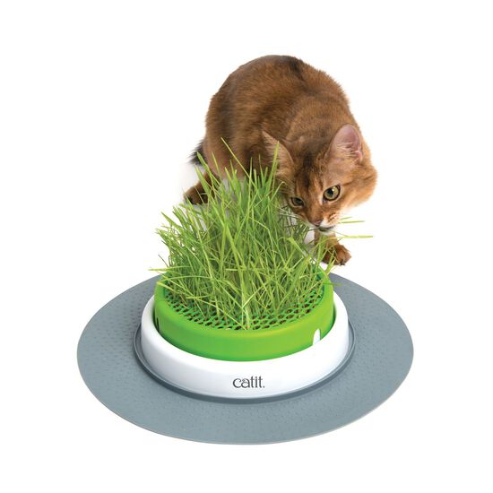 Pot d'herbe à chat cat it Senses 2.0 Grass Planter recouvert d'une grille -  HORNBACH