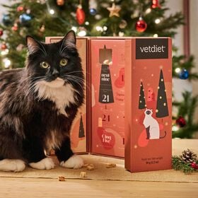 Calendrier de l'avent pour chats
