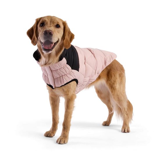 Manteau elasto-fit matelassé Diamand pour chiens Image NaN