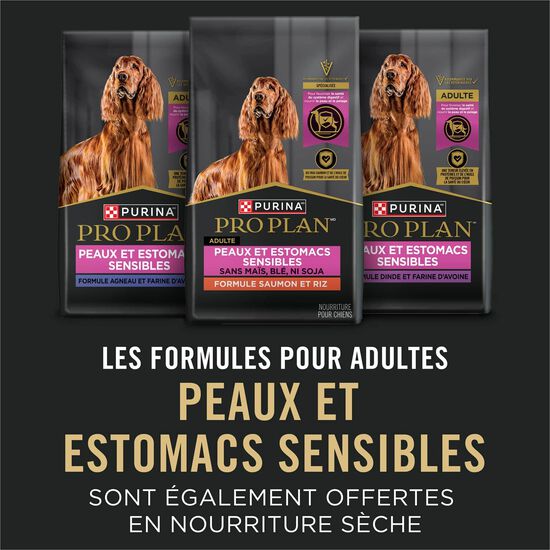 Specialized Sensitive Skin and Stomach Salmon and Rice Entr&eacute;e and Lamb and Oat Meal Entr&eacute;e Classic Variety Pack for Dogs, 368 g x 12 Image NaN