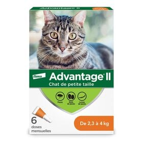 Topical flea protection for cat 2.3 to 4 kg, 6 pack