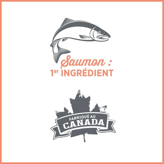 Pâté peau & estomac sensibles pour chien, canard saumon Image NaN