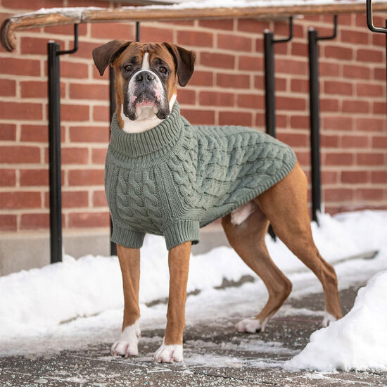 Chunky Cable Knit Turtleneck Chalet Sweater for Dogs Image NaN