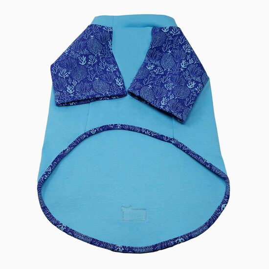 T-shirt à manches raglan à protection UV pour petits chiens Image NaN