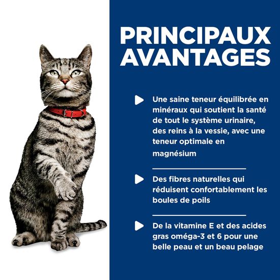 Adult Urinary and Hairball Control Entree for Adult Cats, 82 g Image NaN