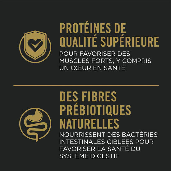 Complete Essentials Shredded Blend Chicken & Rice Formula for Adult Dogs, 21.3 kg Image NaN