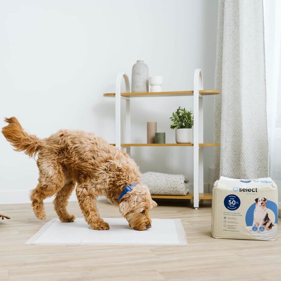 Tapis de propret&eacute; pour chiens adultes et ag&eacute;s, 50 un Image NaN
