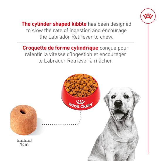Nourriture s&egrave;che pour chiens adultes de race Labrador Retriever Image NaN