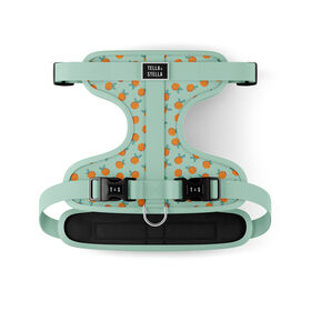 Adjustable Dog Harness