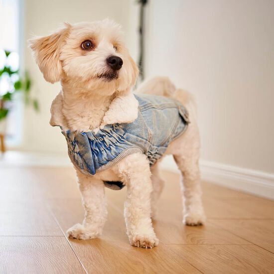 Elasto-fit&reg; Northside Denim Jacket for Dogs, Light Wash Image 2.0