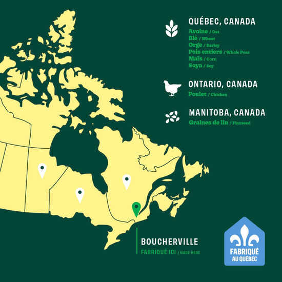 Nourriture sèche recette au poulet pour chats adultes, 10 kg Image NaN