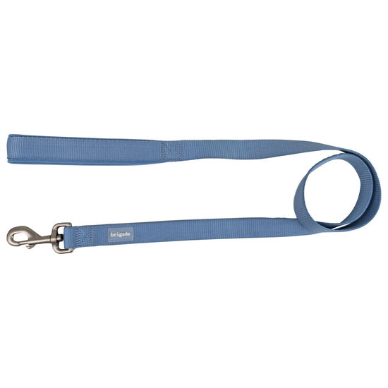 Neoprene Leash for Dogs, Icy Blue Image NaN