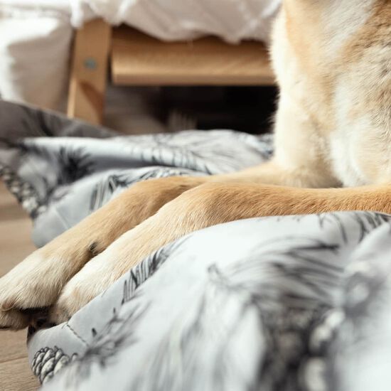 Cloud Pillow Cover, Pine Forest Image NaN