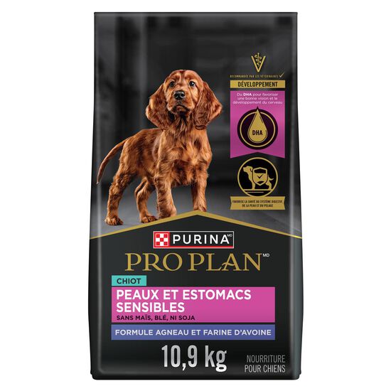 Nourriture sèche développement peaux et estomacs sensibles à l'agneau et riz pour chiots, 10,9 kg Image NaN