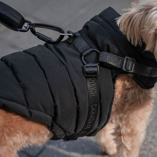 Harness Puffer for Dogs Image NaN
