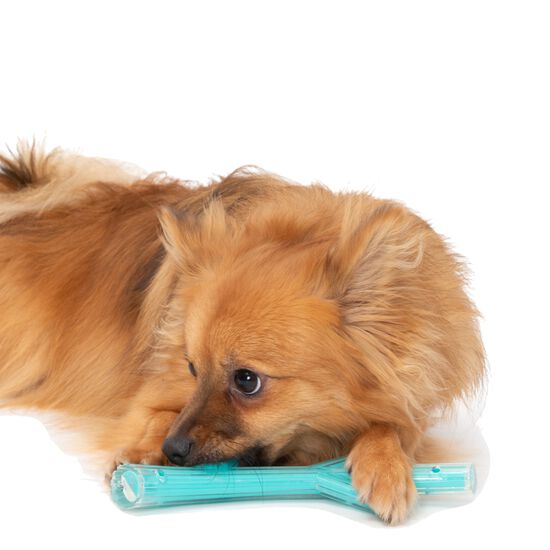 Petit bâton au parfum de poulet Image NaN