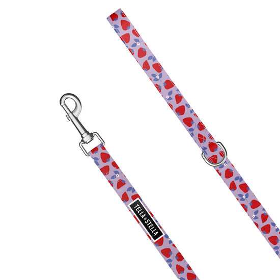 Strawberry Field Dog Leash Image NaN