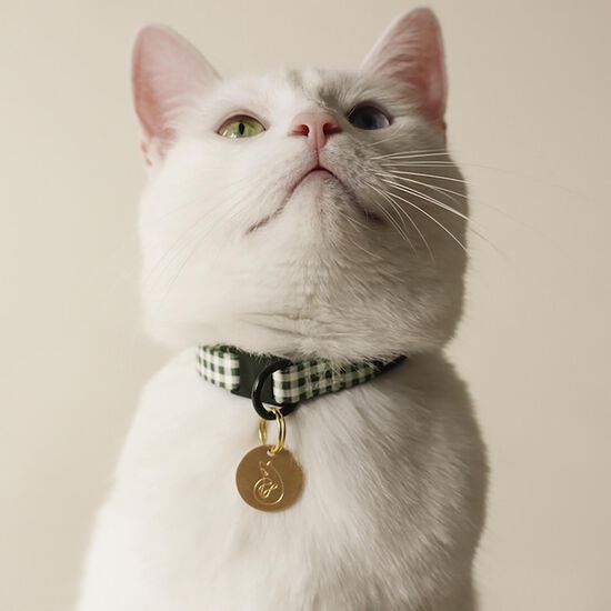 Collier carreaux vert pour chats Image NaN