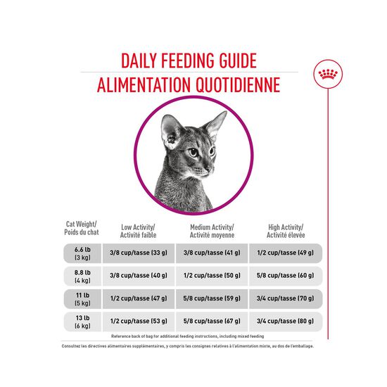 Nourriture sèche nutrition santé féline capricieux pour chats Image NaN