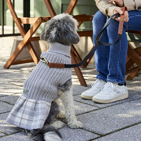 Sweater-dress for Small Dogs Image NaN