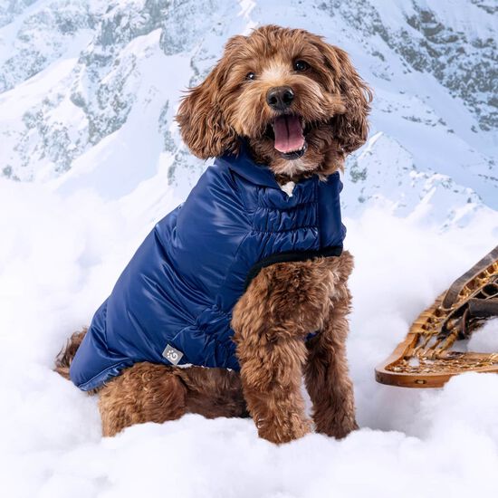 Elasto-Fit® Lunar Glow Parka for Dogs Image NaN