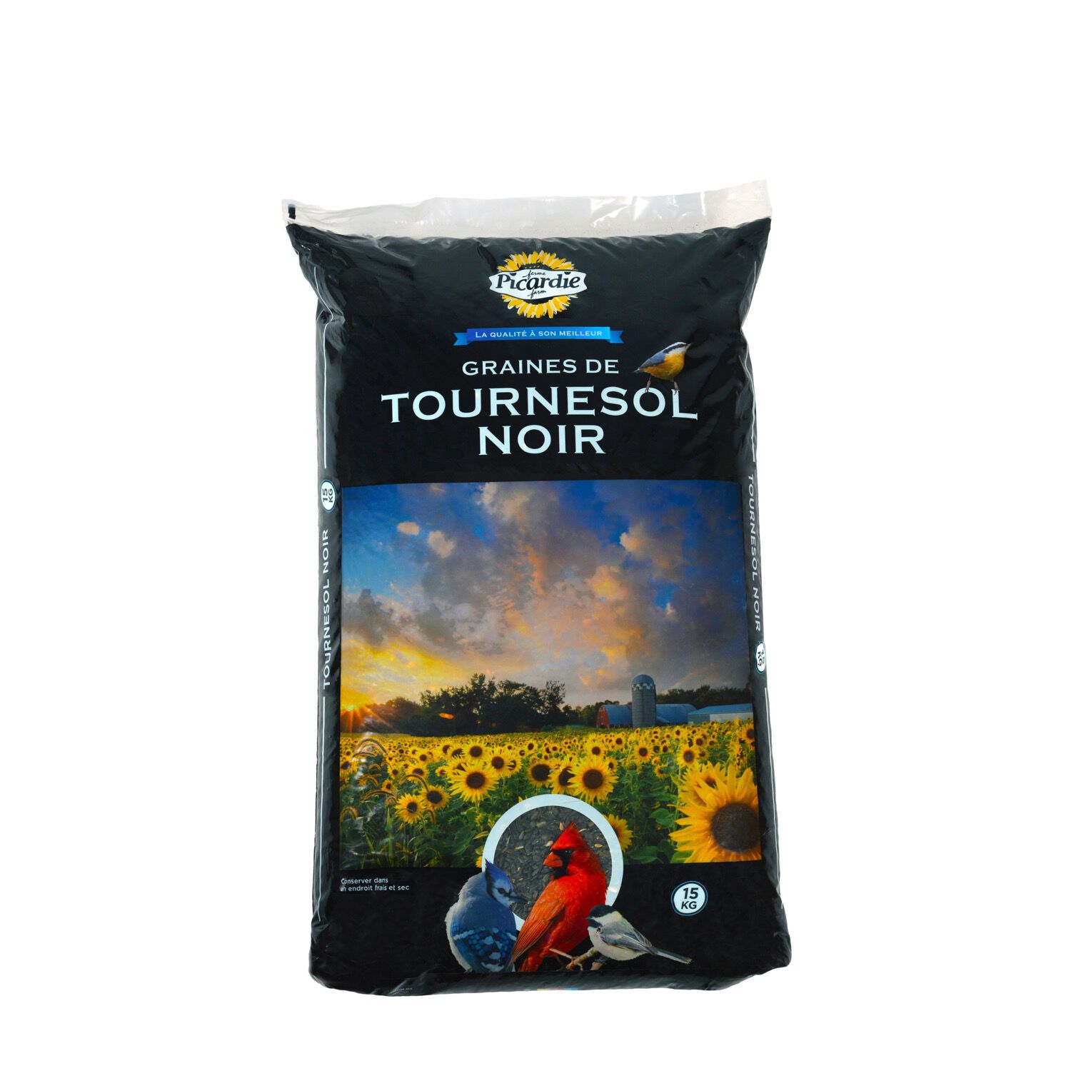 Black Sunflower, 15kg Picardie | Mondou