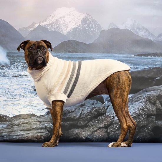 Pull col roul&eacute; sculpt&eacute; bord de mer pour chiens, Bois clair Image NaN