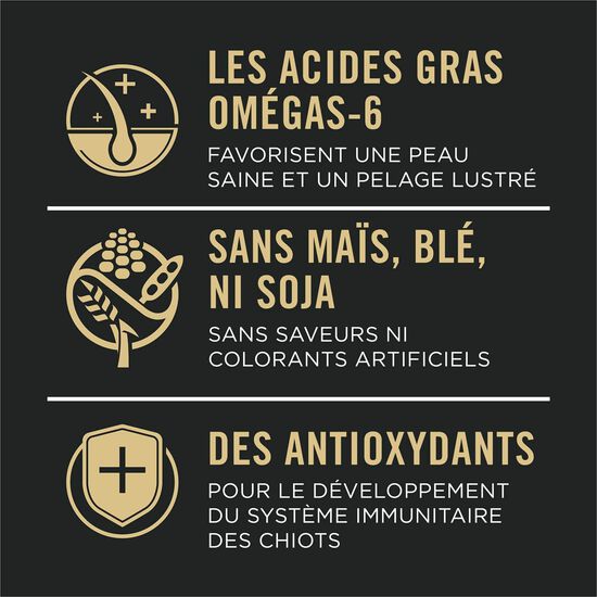 Nourriture s&egrave;che D&eacute;veloppement peaux et estomacs sensibles au saumon et riz pour chiots,  1,81 kg Image NaN