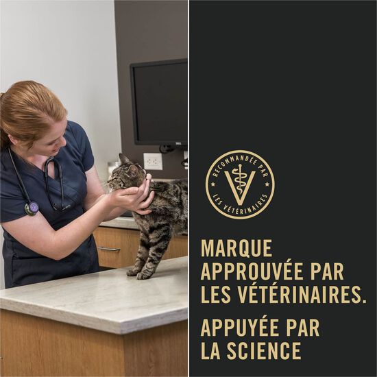 Entr&eacute;e de thon et riz sp&eacute;cialis&eacute;e contr&ocirc;le du poids pour chats, 85 g Image NaN