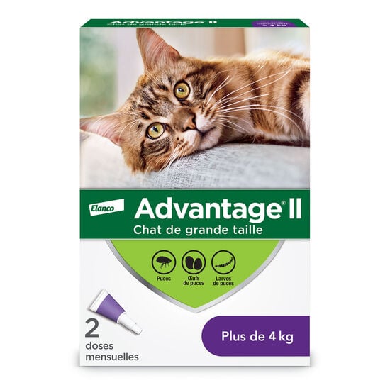 Protection topique contre les puces pour chats + de 4 kg, 2 un. Image NaN