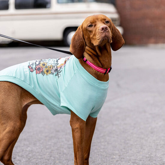 T-shirt graphique pour chiens, aqua chin&eacute; Image NaN