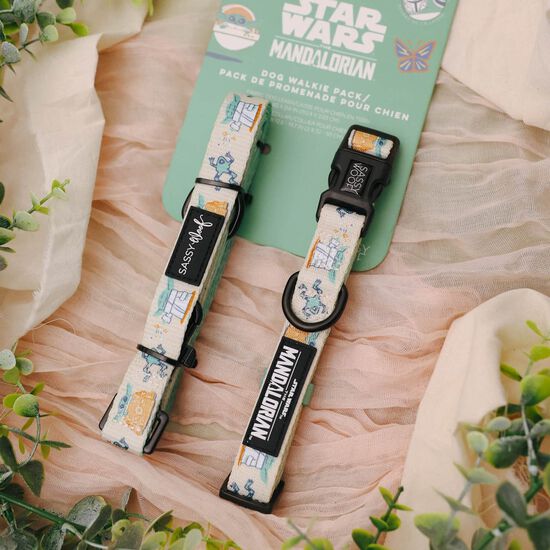 Ensemble de promenade STAR WARS The Child pour chiens Image NaN