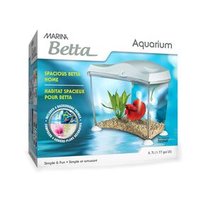 Aquarium spacieux pour betta, blanc, 6,7 L