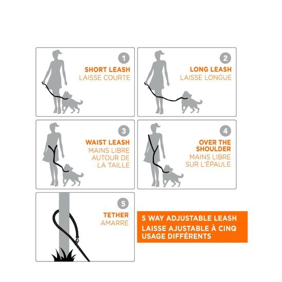 Laisse 5 façons pour chiens, gris Image NaN