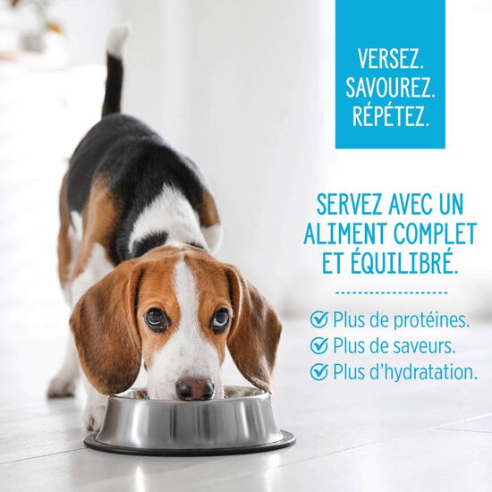 Garniture Style maison bol de poulet et riz pour chiens, 152 g Image NaN