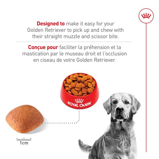 Nourriture s&egrave;che pour chiens adultes de race Golden Retriever Image NaN