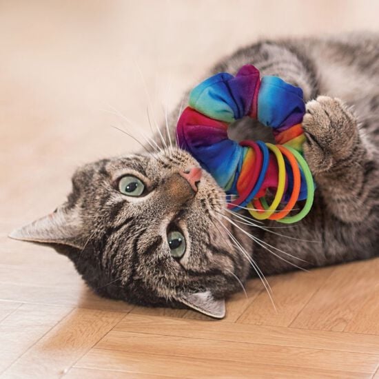 Jouet Active Scrunchie pour chats Image NaN