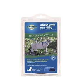 Come with Me Kitty harness and bungee leash for cats, blue