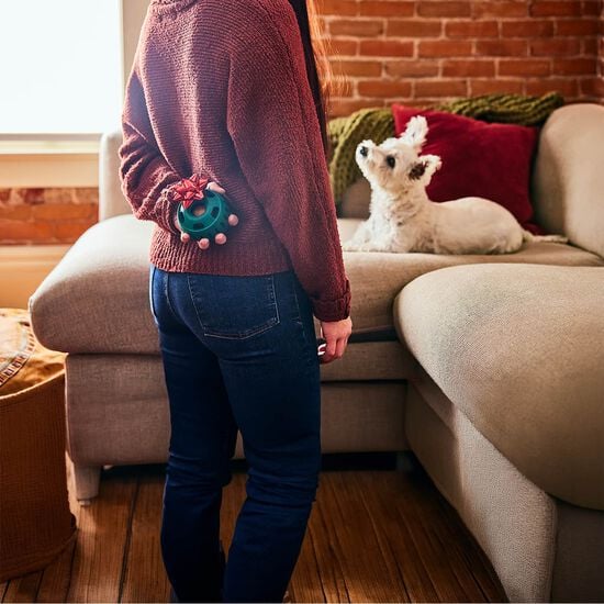 Pupsicle Toy for Dogs, Small Image NaN